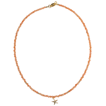 Load image into Gallery viewer, The Salty Dog Choker- coral