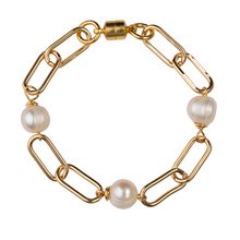 Load image into Gallery viewer, Gold Paperclip Chain Freshwater Pearl Bracelet