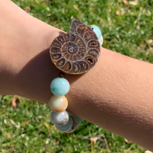Load image into Gallery viewer, Flower Amazonite and Nautilus Shell Bracelet